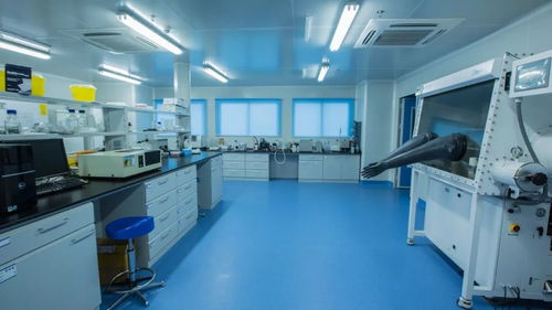 中深裝精品工程丨深圳出入境檢驗檢疫局食品衛生監督實驗室改造工程